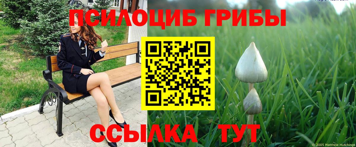 цены   Псилоцибиновые грибы мицелий  Зеленогорск  Вход с VPN  Псилоцибиновые грибы GOLDEN TEACHER 