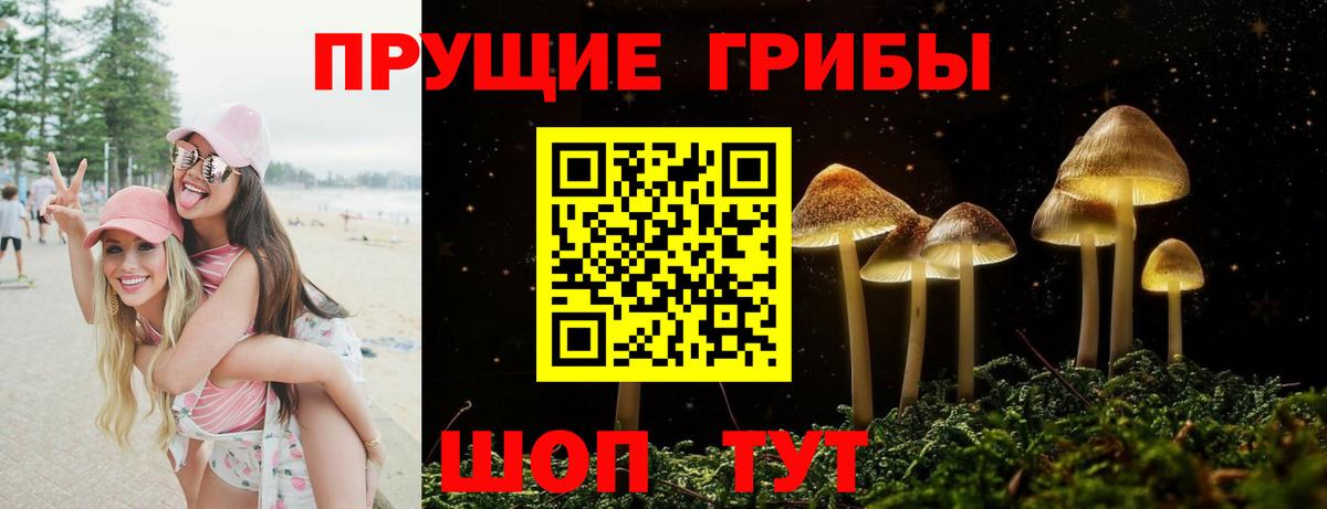 Галлюциногенные грибы GOLDEN TEACHER Зеленогорск
